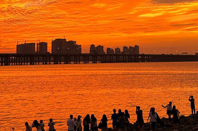 20241209111122_834428